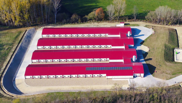 Aviagen KFT Hungary farm with red roofs and solar panels