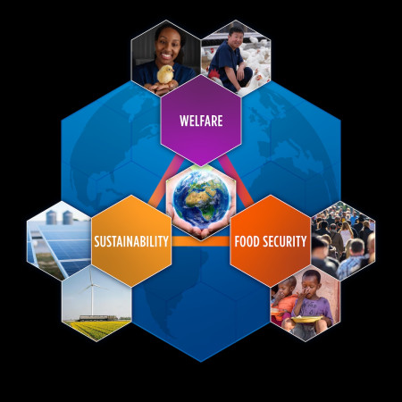 Aviagen Welfare, Sustainability, Food Security Triangle graphic