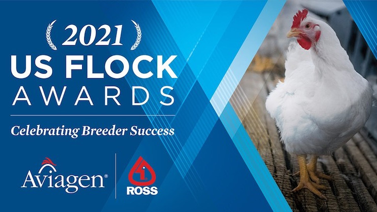2021 Aviagen North America Flock Awards Recognize Top-Performing Ross Breeder Customers