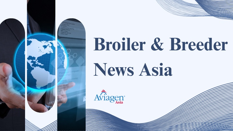 Broiler & Breeder News Asia, 10 – 16 Dec 2025