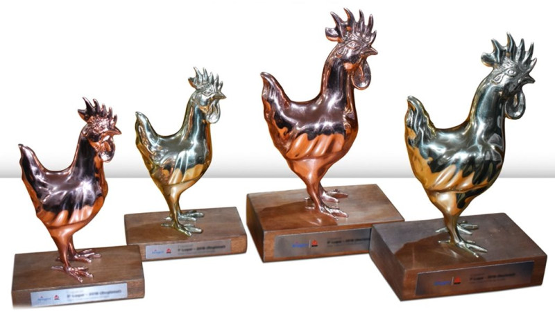 Nutrifrango, Grupo Alvorada y Ad’oro brillan en 7a Edición de Premios Nacionales Ross 308 AP de Aviagen en Brasil